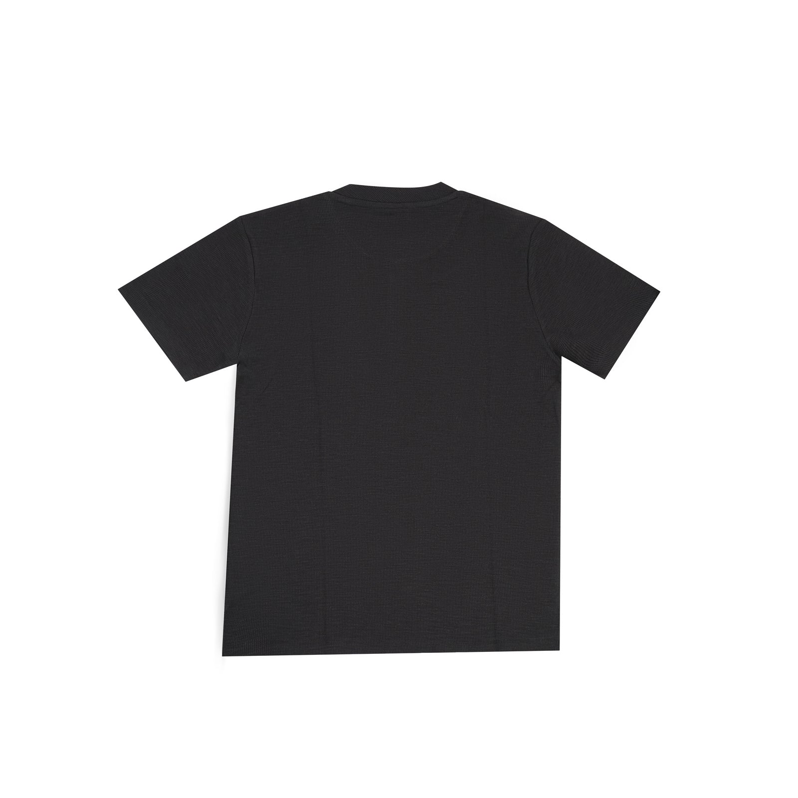 Regular Fit Black Henley T-Shirt