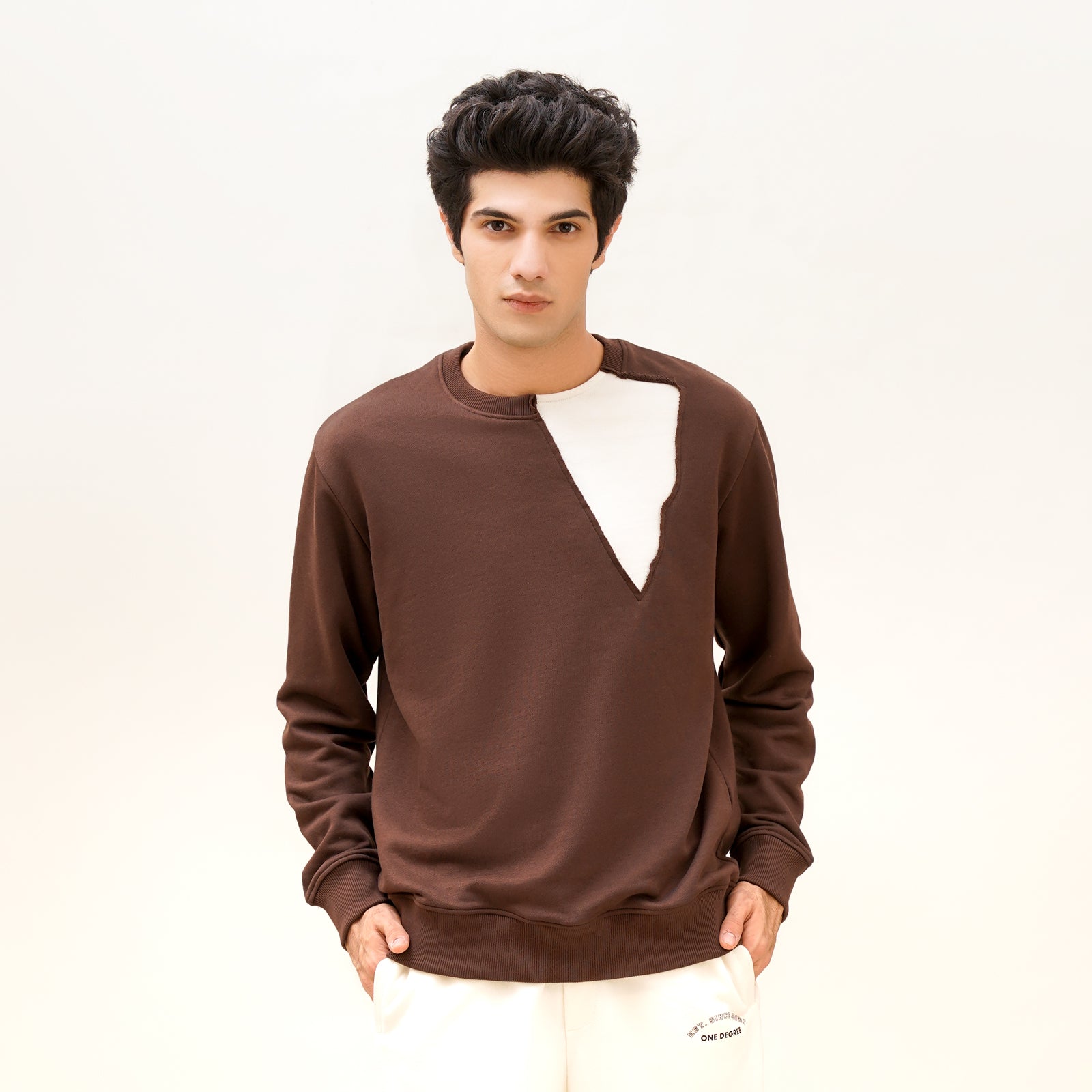 Regular Fit Brown Beige Sweatshirt