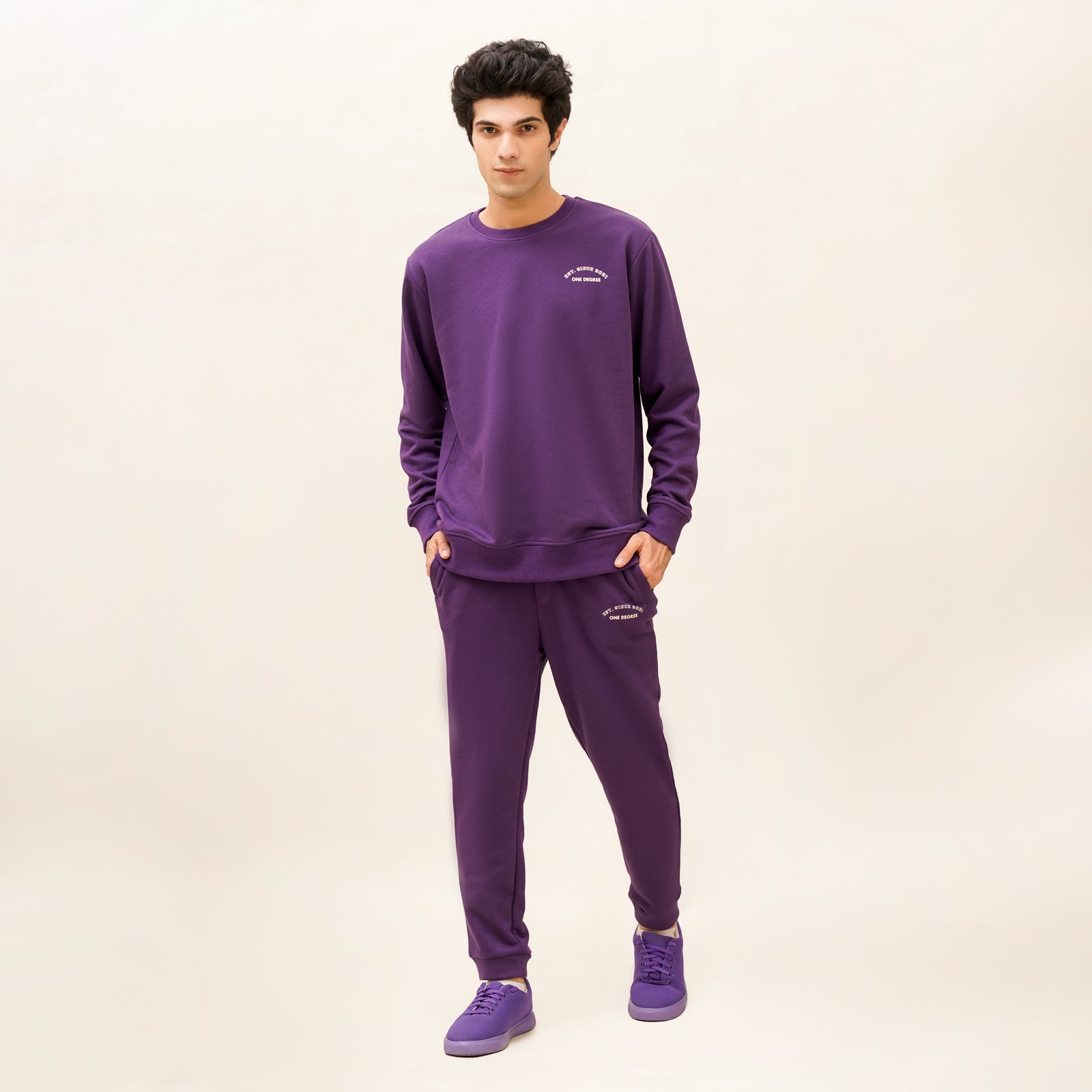 Regular Fit Purple
 Sweatshirt