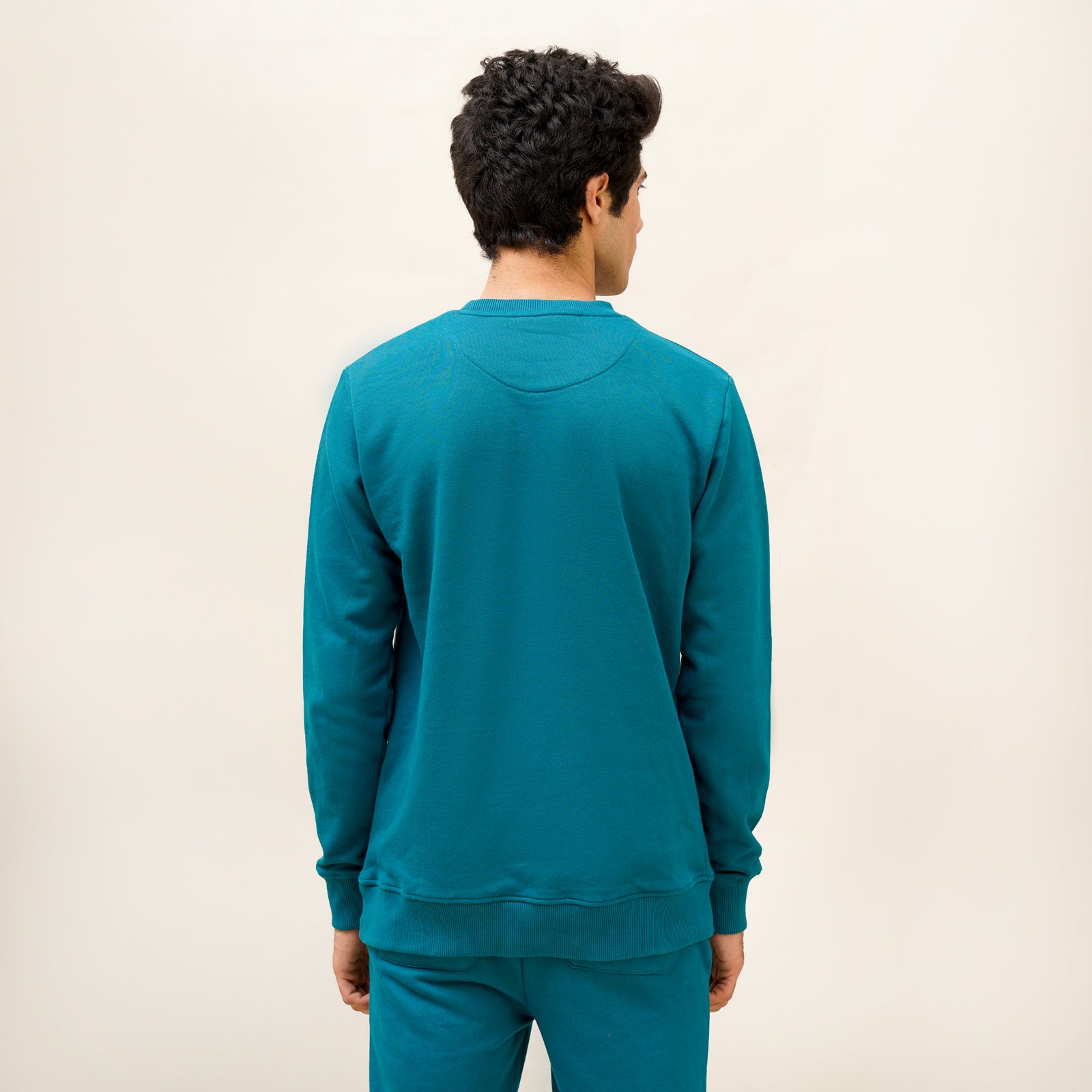 Regular Fit Green & Blue Sweatshirt