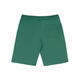 Regular Fit Verdant Green Shorts