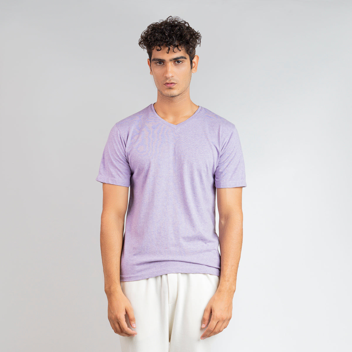 Regular Fit Basic Purple V-Neck T-Shirt